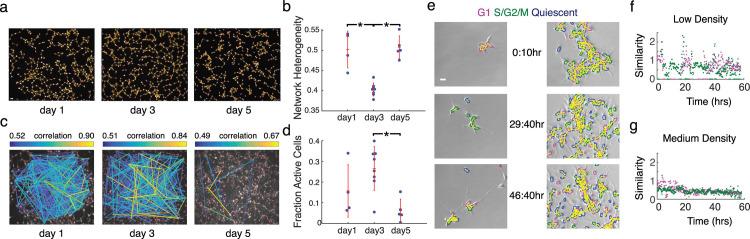 https://cdn.ncbi.nlm.nih.gov/pmc/blobs/99f2/9191702/84a67c0d76e7/pcbi.1009846.g002.jpg