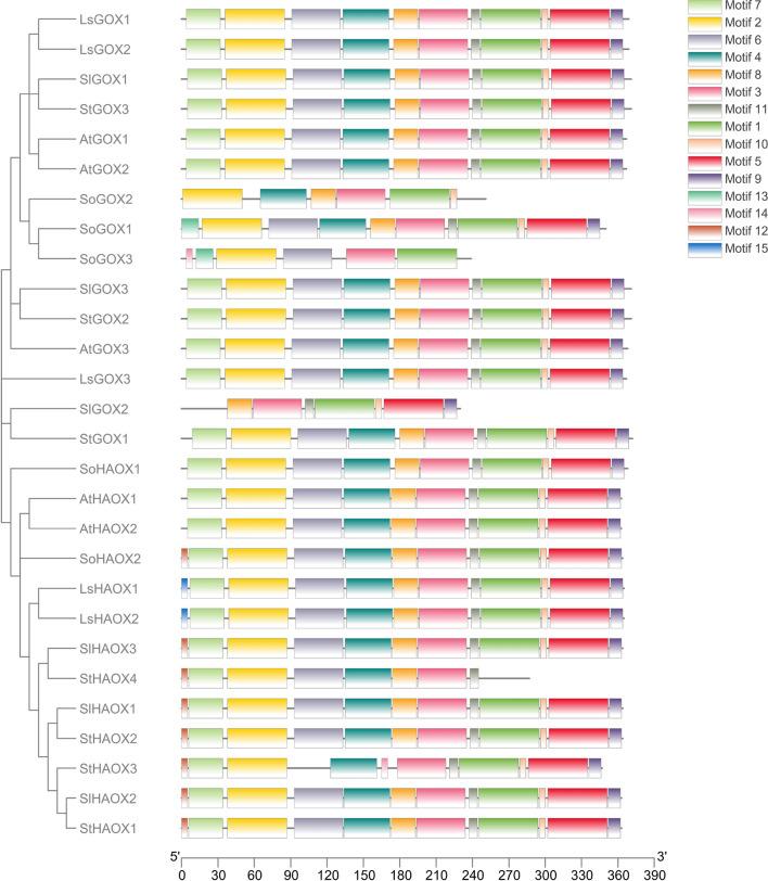 https://cdn.ncbi.nlm.nih.gov/pmc/blobs/99f3/10640638/319abb129b6b/41598_2023_47180_Fig5_HTML.jpg