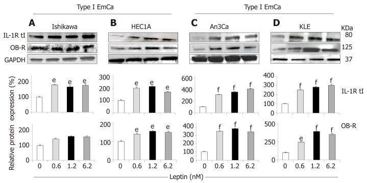 https://cdn.ncbi.nlm.nih.gov/pmc/blobs/99f3/6657217/d034a487f93d/WJCO-10-222-g003.jpg