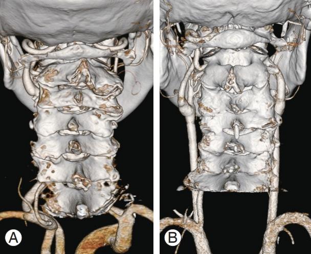 https://cdn.ncbi.nlm.nih.gov/pmc/blobs/99f3/9633243/765a81dbb017/asj-2022-0374f1.jpg