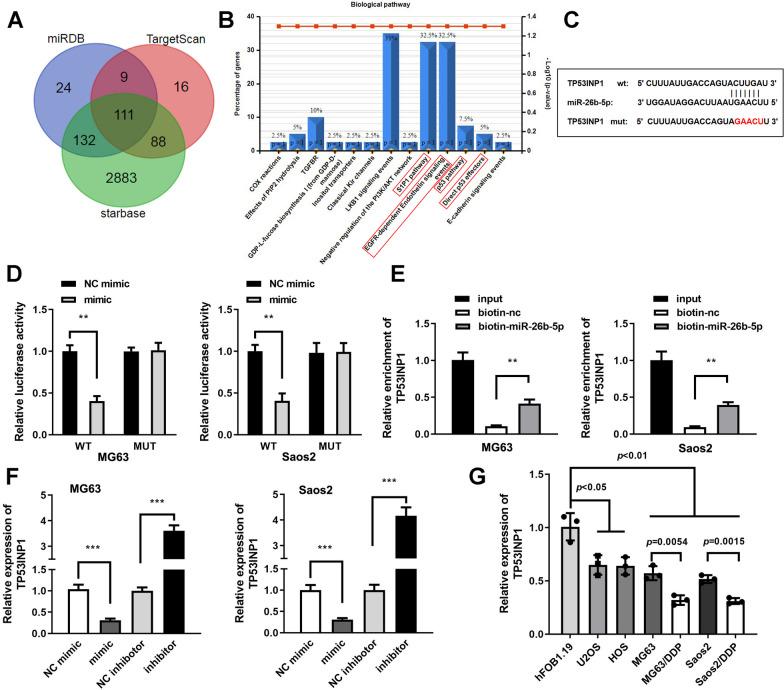 https://cdn.ncbi.nlm.nih.gov/pmc/blobs/99f4/10666340/1e894d940d20/13018_2023_4387_Fig5_HTML.jpg
