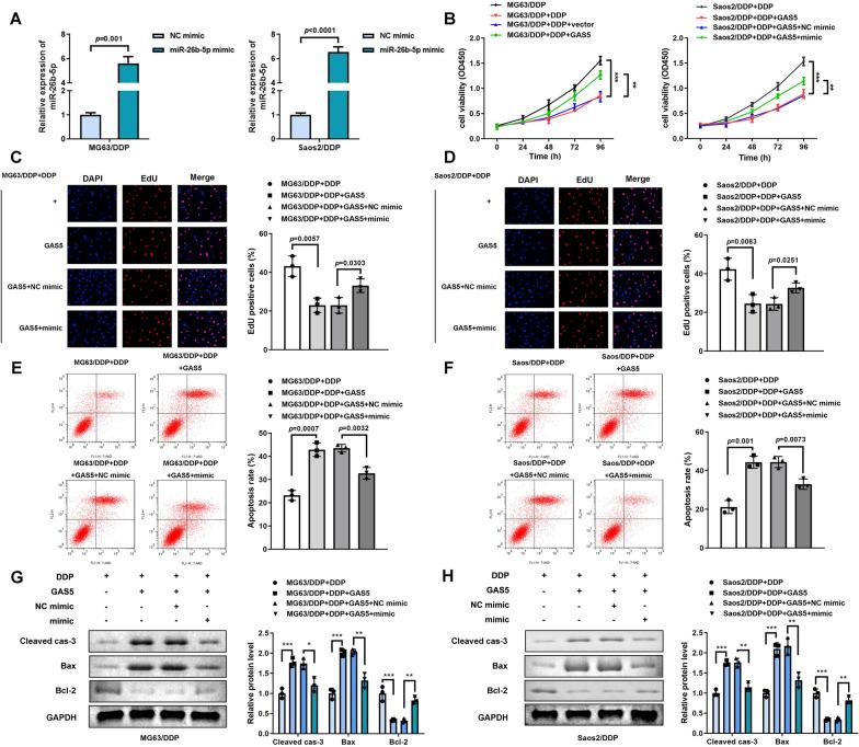 https://cdn.ncbi.nlm.nih.gov/pmc/blobs/99f4/10666340/694723acbdb2/13018_2023_4387_Fig4_HTML.jpg