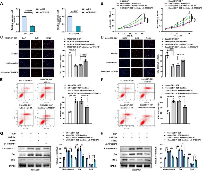 https://cdn.ncbi.nlm.nih.gov/pmc/blobs/99f4/10666340/f9c88fe237fd/13018_2023_4387_Fig6_HTML.jpg