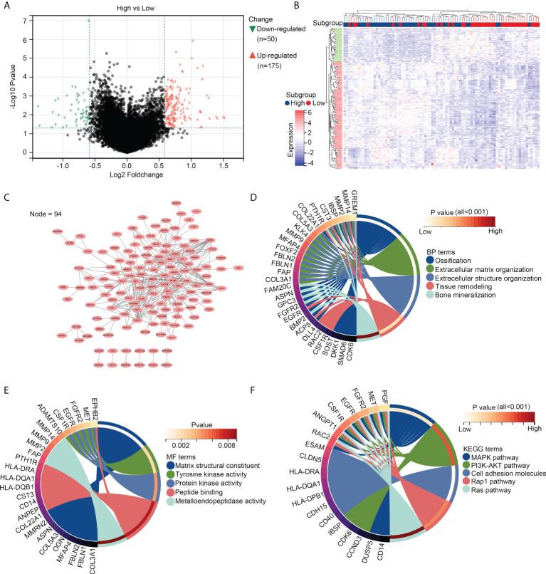 https://cdn.ncbi.nlm.nih.gov/pmc/blobs/99f4/9515362/7ff8259291d7/fimmu-13-1017120-g002.jpg