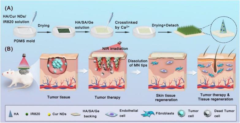 https://cdn.ncbi.nlm.nih.gov/pmc/blobs/99f5/9118597/246d391070d3/12951_2022_1426_Fig1_HTML.jpg
