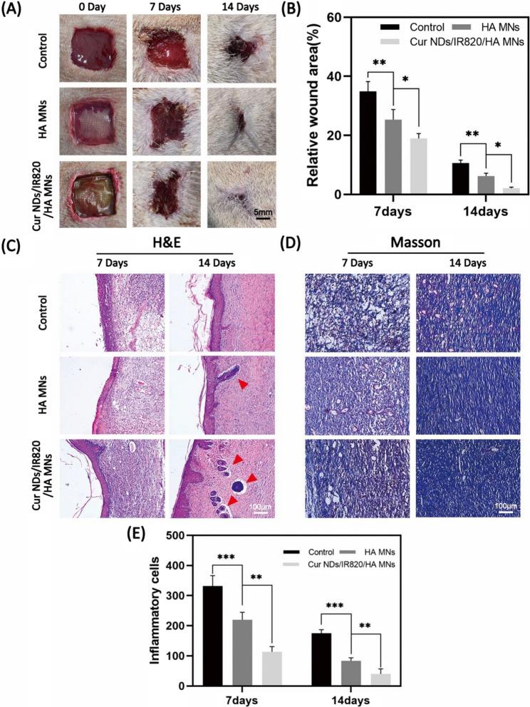 https://cdn.ncbi.nlm.nih.gov/pmc/blobs/99f5/9118597/43c5c5063489/12951_2022_1426_Fig8_HTML.jpg