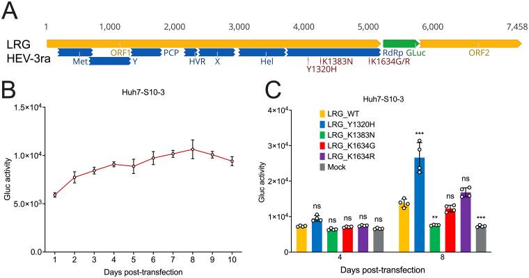 https://cdn.ncbi.nlm.nih.gov/pmc/blobs/99f6/10128057/adecdc0dd579/mbio.03372-22-f004.jpg
