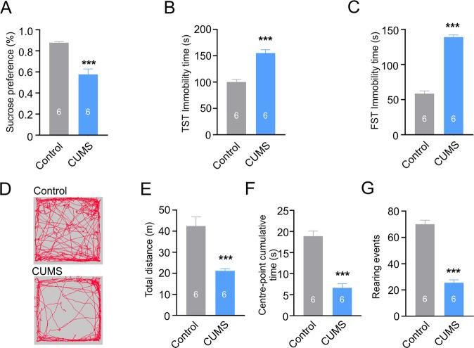 https://cdn.ncbi.nlm.nih.gov/pmc/blobs/99f7/10227075/f156a286fac9/41419_2023_5839_Fig2_HTML.jpg