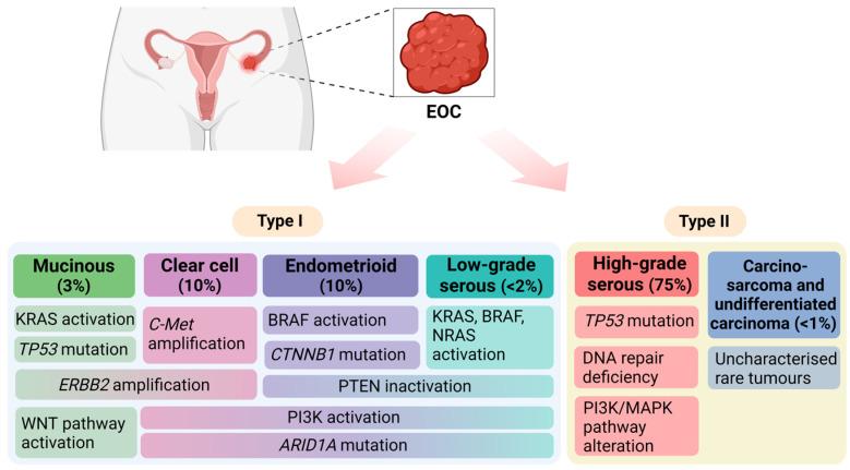 https://cdn.ncbi.nlm.nih.gov/pmc/blobs/99f8/11118117/70af13704d5e/biomolecules-14-00585-g002.jpg