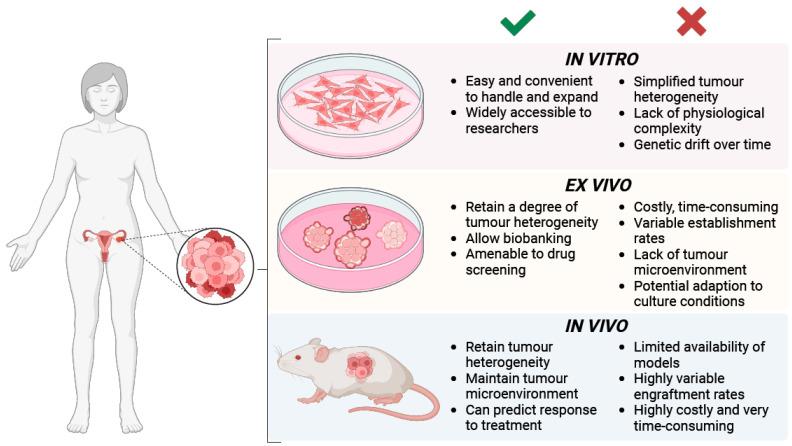 https://cdn.ncbi.nlm.nih.gov/pmc/blobs/99f8/11118117/cb3b645e5f90/biomolecules-14-00585-g005.jpg