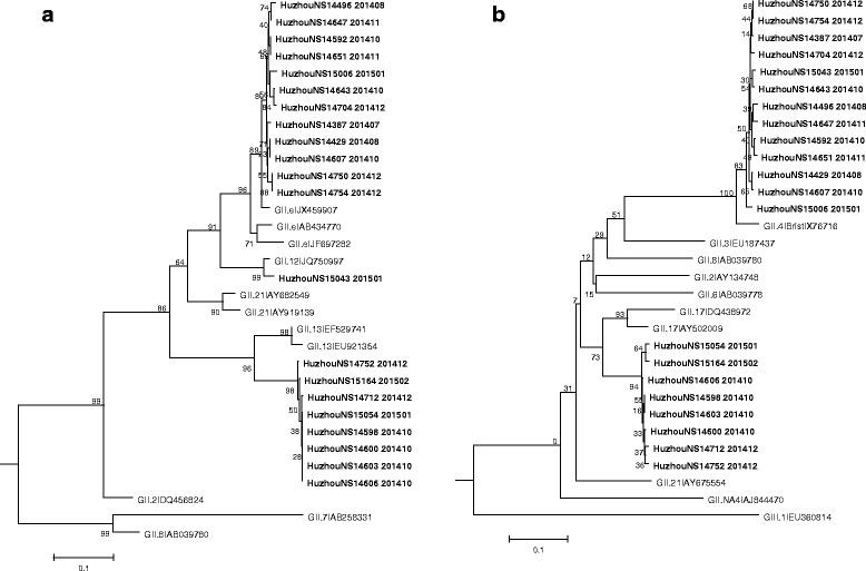 https://cdn.ncbi.nlm.nih.gov/pmc/blobs/99fd/4566299/9d1ae6894c0e/12985_2015_370_Fig2_HTML.jpg