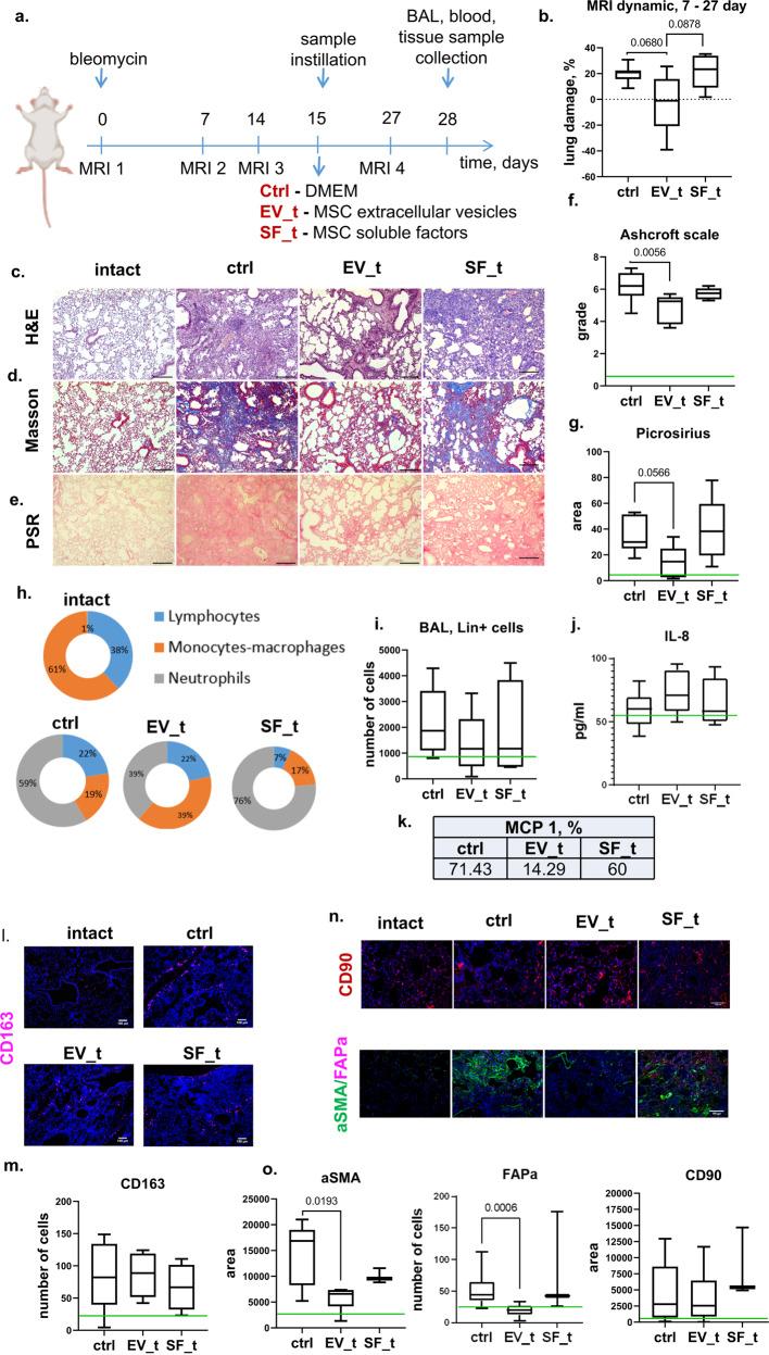 https://cdn.ncbi.nlm.nih.gov/pmc/blobs/99ff/10393964/3320d7ed4037/12276_2023_1017_Fig3_HTML.jpg