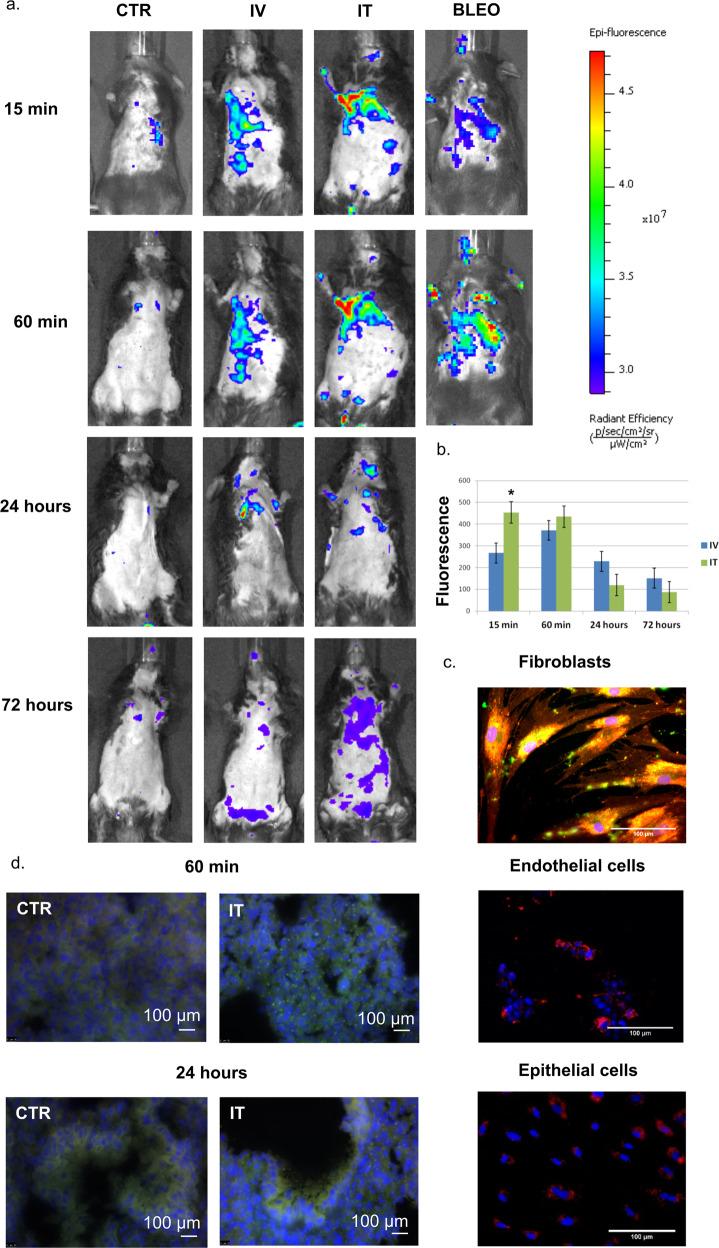 https://cdn.ncbi.nlm.nih.gov/pmc/blobs/99ff/10393964/708c15579b96/12276_2023_1017_Fig1_HTML.jpg