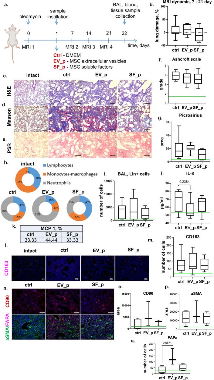 https://cdn.ncbi.nlm.nih.gov/pmc/blobs/99ff/10393964/c5f10dd559df/12276_2023_1017_Fig2_HTML.jpg
