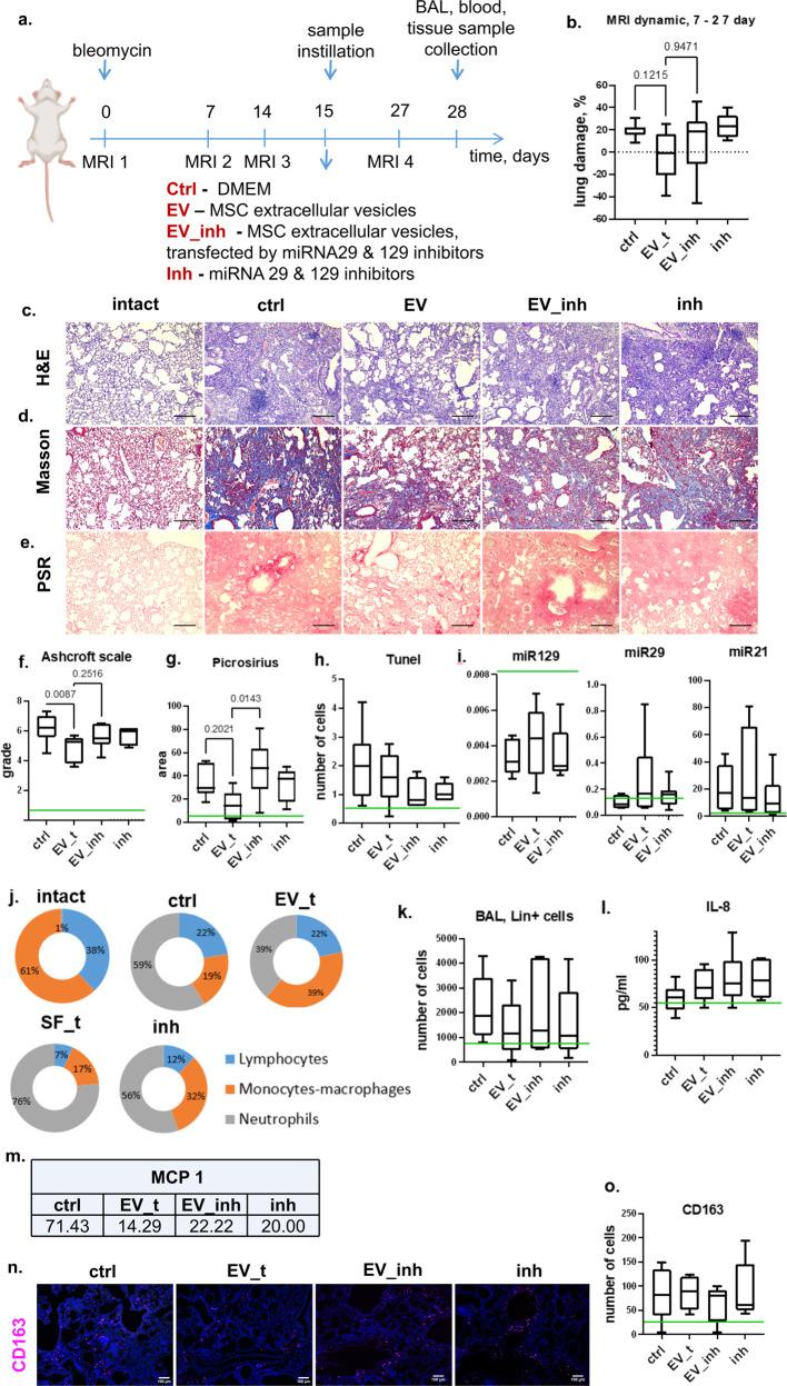 https://cdn.ncbi.nlm.nih.gov/pmc/blobs/99ff/10393964/ef656d834536/12276_2023_1017_Fig5_HTML.jpg