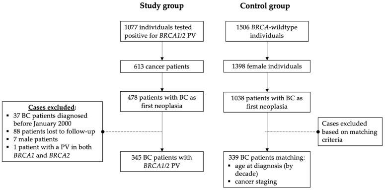 https://cdn.ncbi.nlm.nih.gov/pmc/blobs/99ff/10705326/67949f223a49/cancers-15-05699-g001.jpg