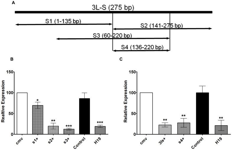 https://cdn.ncbi.nlm.nih.gov/pmc/blobs/99ff/3990577/090eeed62bc4/pone.0093561.g003.jpg
