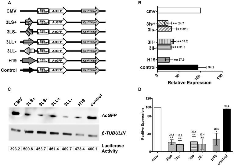 https://cdn.ncbi.nlm.nih.gov/pmc/blobs/99ff/3990577/5a3a1ebacc53/pone.0093561.g002.jpg