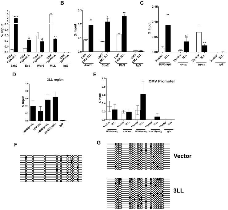 https://cdn.ncbi.nlm.nih.gov/pmc/blobs/99ff/3990577/a9be5105b709/pone.0093561.g007.jpg