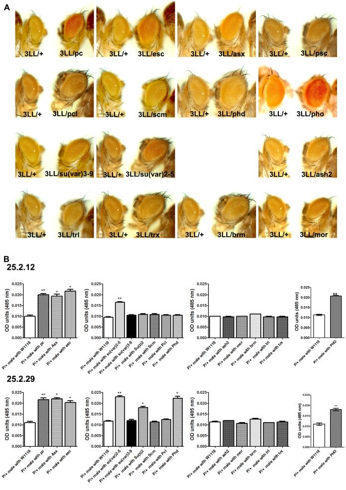 https://cdn.ncbi.nlm.nih.gov/pmc/blobs/99ff/3990577/c9db497774eb/pone.0093561.g005.jpg