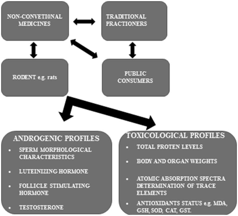 https://cdn.ncbi.nlm.nih.gov/pmc/blobs/9a00/5756022/44b4dfde8246/fx1.jpg