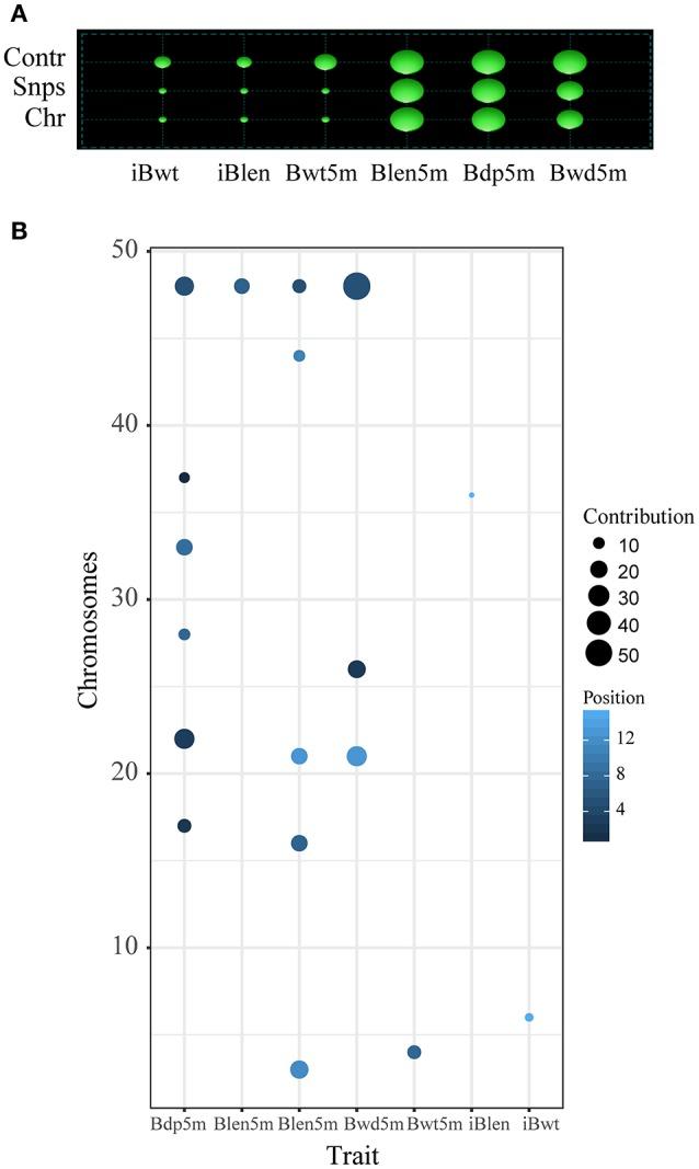 https://cdn.ncbi.nlm.nih.gov/pmc/blobs/9a00/6293859/989000f7206e/fgene-09-00592-g0003.jpg
