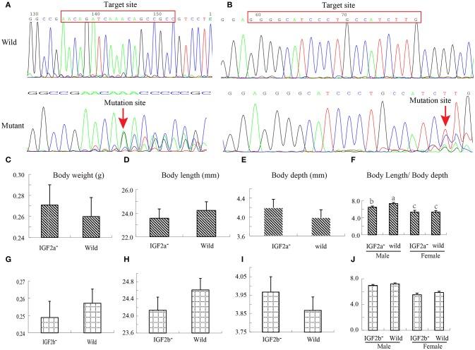 https://cdn.ncbi.nlm.nih.gov/pmc/blobs/9a00/6293859/ed508cebf5c3/fgene-09-00592-g0005.jpg