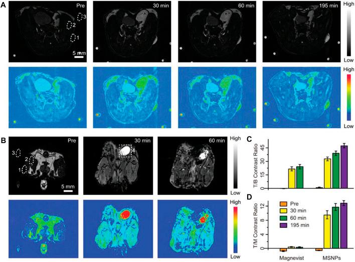 https://cdn.ncbi.nlm.nih.gov/pmc/blobs/9a00/9949555/55917b5dcdf0/fchem-11-1036715-g008.jpg
