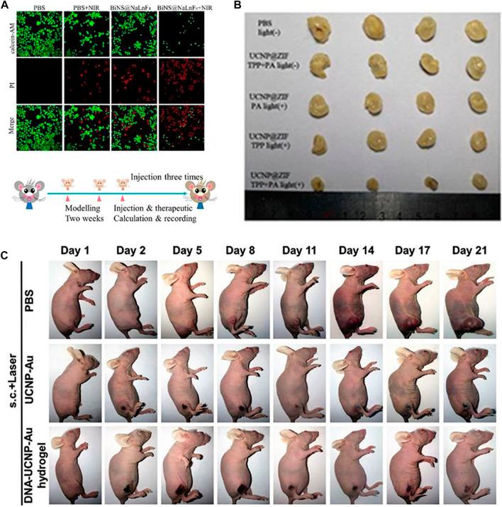 https://cdn.ncbi.nlm.nih.gov/pmc/blobs/9a00/9949555/65969d239091/fchem-11-1036715-g005.jpg