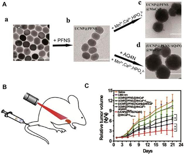 https://cdn.ncbi.nlm.nih.gov/pmc/blobs/9a00/9949555/a8146cd81e60/fchem-11-1036715-g006.jpg