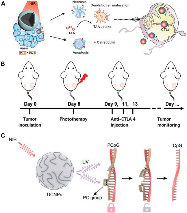 https://cdn.ncbi.nlm.nih.gov/pmc/blobs/9a00/9949555/e50c3a1edc10/fchem-11-1036715-g007.jpg