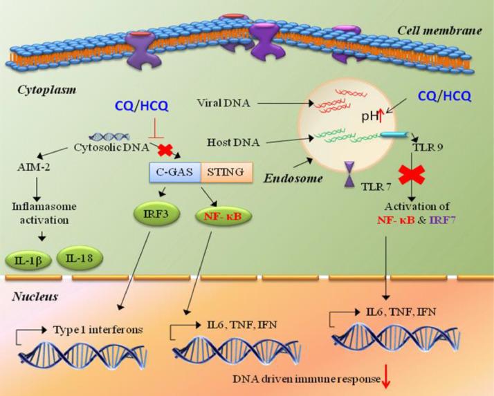 https://cdn.ncbi.nlm.nih.gov/pmc/blobs/9a02/7243790/a78559bc7c51/gr3_lrg.jpg