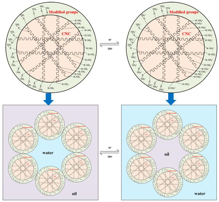 https://cdn.ncbi.nlm.nih.gov/pmc/blobs/9a03/10975334/aee061497976/molecules-29-01269-g007.jpg