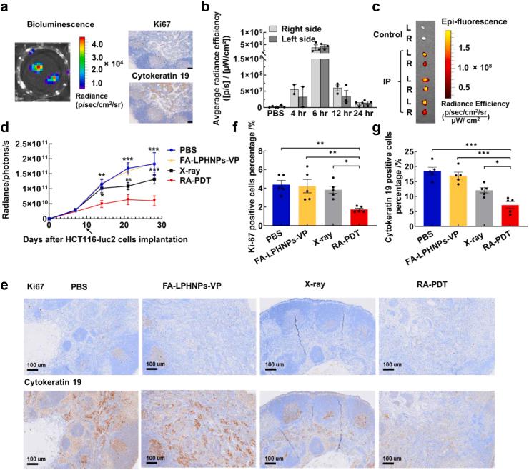 https://cdn.ncbi.nlm.nih.gov/pmc/blobs/9a05/12141937/3be650385e4e/gr5.jpg