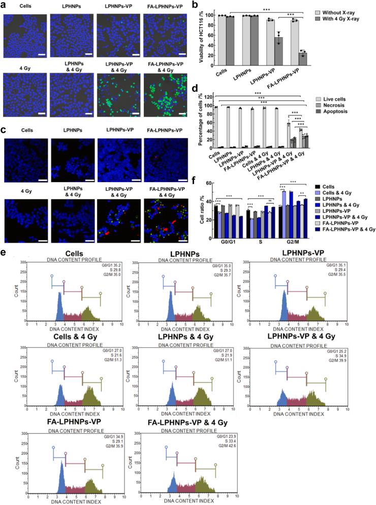 https://cdn.ncbi.nlm.nih.gov/pmc/blobs/9a05/12141937/e5604b38856d/gr3.jpg