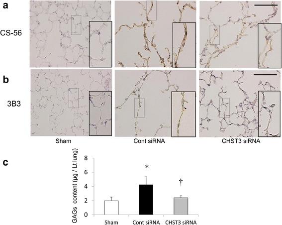 https://cdn.ncbi.nlm.nih.gov/pmc/blobs/9a05/4673861/172e32e7f729/12931_2015_310_Fig4_HTML.jpg