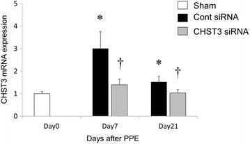 https://cdn.ncbi.nlm.nih.gov/pmc/blobs/9a05/4673861/1737f225c9f3/12931_2015_310_Fig3_HTML.jpg