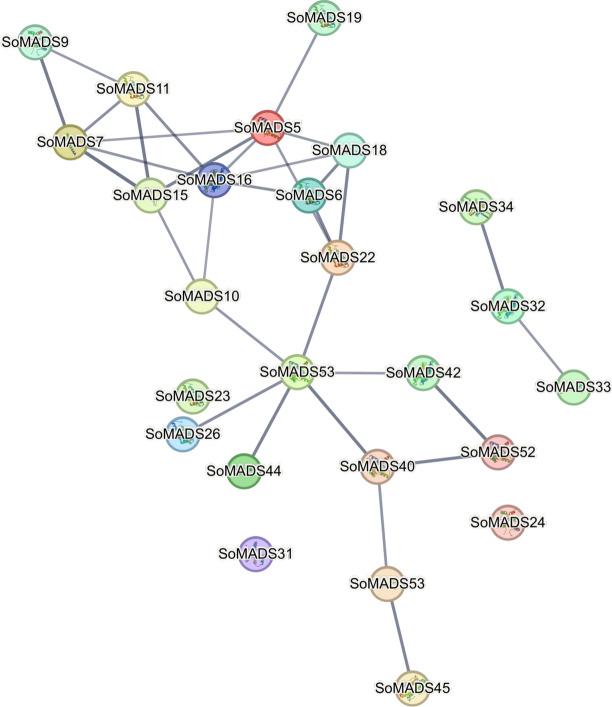 https://cdn.ncbi.nlm.nih.gov/pmc/blobs/9a06/11317516/192ab6fc07de/41598_2024_68965_Fig9_HTML.jpg