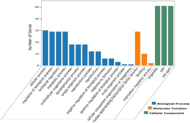 https://cdn.ncbi.nlm.nih.gov/pmc/blobs/9a06/11317516/1a656624540d/41598_2024_68965_Fig5_HTML.jpg