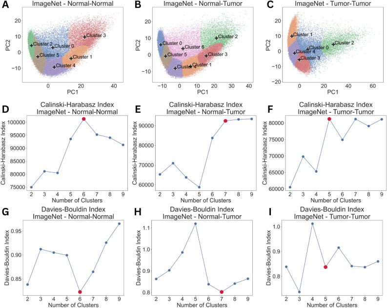 https://cdn.ncbi.nlm.nih.gov/pmc/blobs/9a07/11707152/459f70c23930/41598_2024_80495_Fig3_HTML.jpg