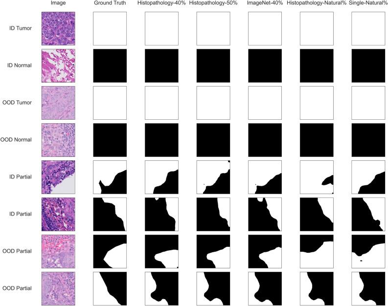 https://cdn.ncbi.nlm.nih.gov/pmc/blobs/9a07/11707152/c928feba3d81/41598_2024_80495_Fig4_HTML.jpg