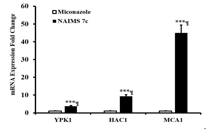 https://cdn.ncbi.nlm.nih.gov/pmc/blobs/9a07/7997172/964e93e15747/pharmaceutics-13-00312-g007.jpg