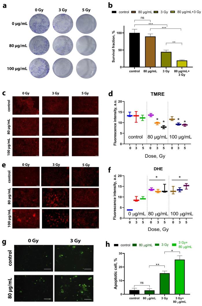 https://cdn.ncbi.nlm.nih.gov/pmc/blobs/9a08/11357428/5a116d940870/molecules-29-03936-g003.jpg