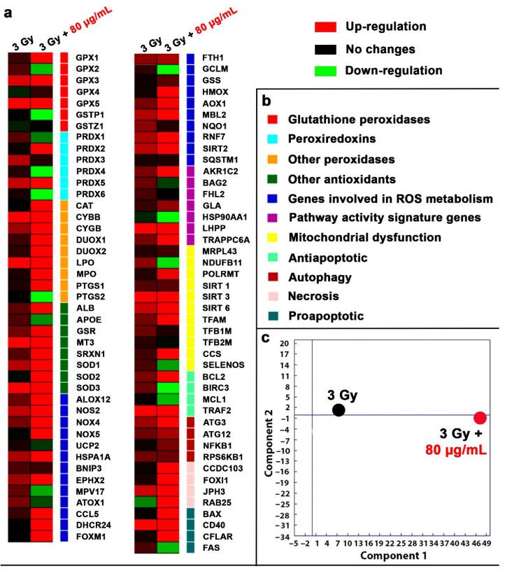 https://cdn.ncbi.nlm.nih.gov/pmc/blobs/9a08/11357428/9482b841139e/molecules-29-03936-g004.jpg