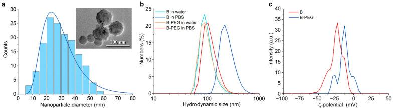 https://cdn.ncbi.nlm.nih.gov/pmc/blobs/9a08/11357428/a2c20ee8fdda/molecules-29-03936-g001.jpg