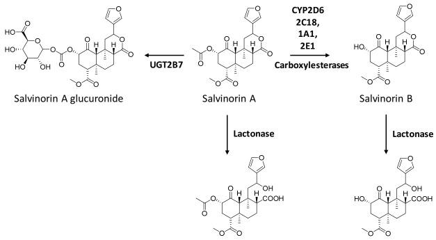 https://cdn.ncbi.nlm.nih.gov/pmc/blobs/9a08/7913753/b6f0bd172d03/pharmaceuticals-14-00116-g003.jpg