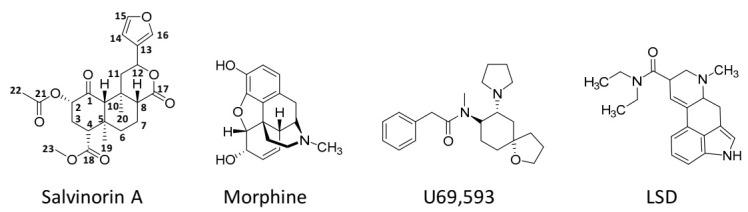 https://cdn.ncbi.nlm.nih.gov/pmc/blobs/9a08/7913753/d1e5f4a24c26/pharmaceuticals-14-00116-g002.jpg