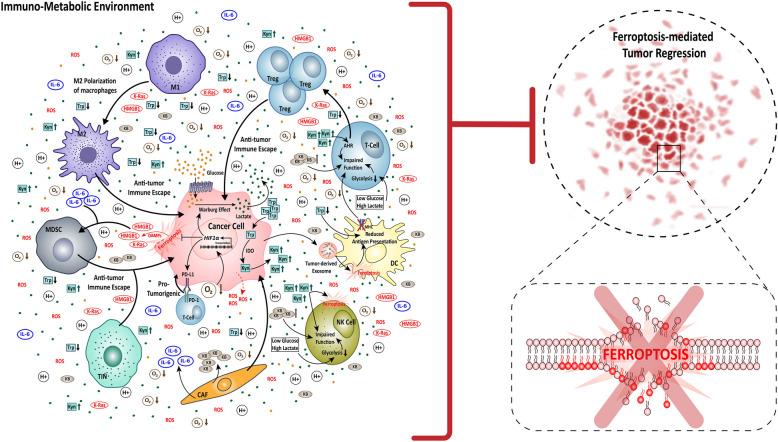 https://cdn.ncbi.nlm.nih.gov/pmc/blobs/9a09/12131403/35857fbc9bdd/12943_2025_2337_Fig4_HTML.jpg