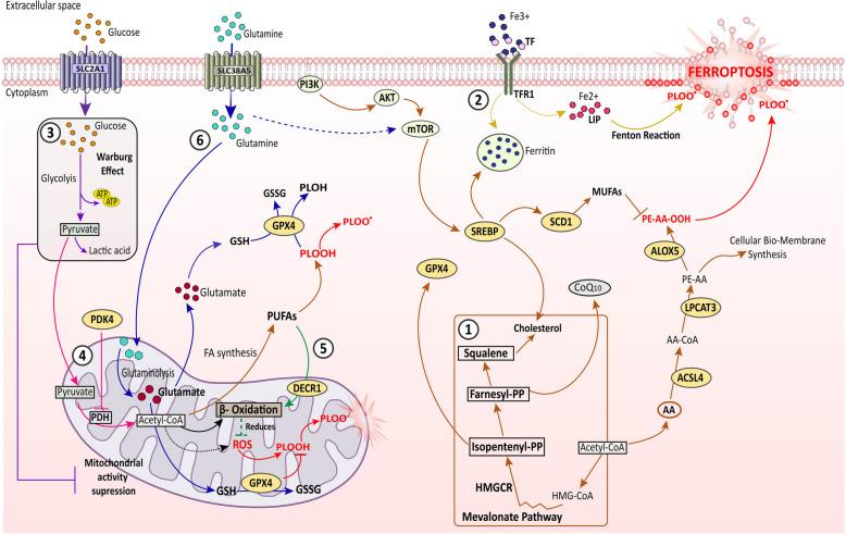 https://cdn.ncbi.nlm.nih.gov/pmc/blobs/9a09/12131403/f87beabde16f/12943_2025_2337_Fig2_HTML.jpg