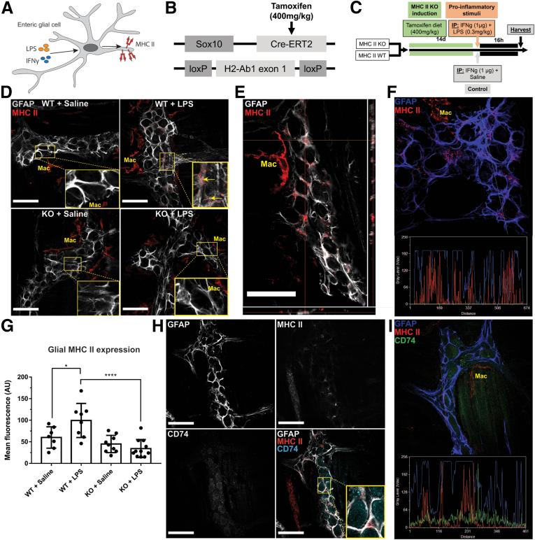 https://cdn.ncbi.nlm.nih.gov/pmc/blobs/9a0c/8449089/3b64080927f6/gr1.jpg
